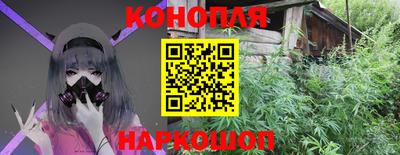 гашик Балашиха