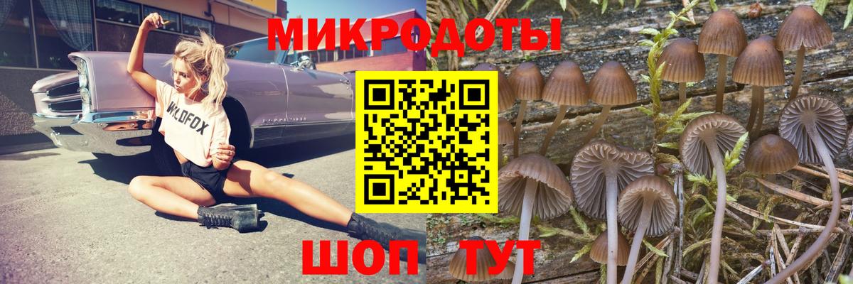 Псилоцибиновые грибы MAGIC MUSHROOMS  Вход с VPN  Грязи  Галлюциногенные грибы прущие грибы 