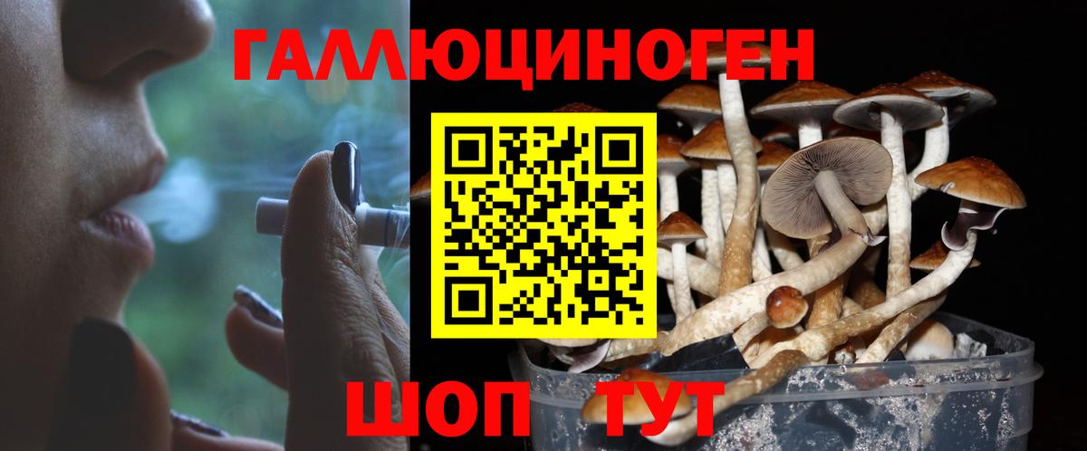 Псилоцибиновые грибы ЛСД Грязи